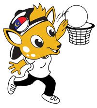 Volleyball